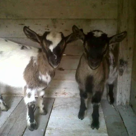 Agriturismo La Conca Fonte S.croce ベッド・アンド・ブレックファスト