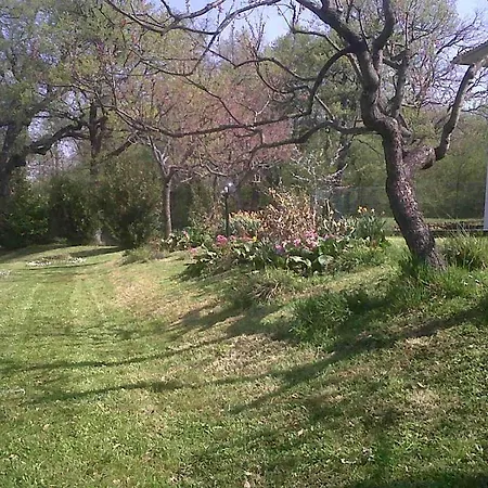 ベッド・アンド・ブレックファスト Agriturismo La Conca Fonte S.croce