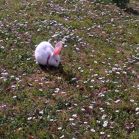 Agriturismo La Conca Fonte S.croce カラマーニコ・テルメ