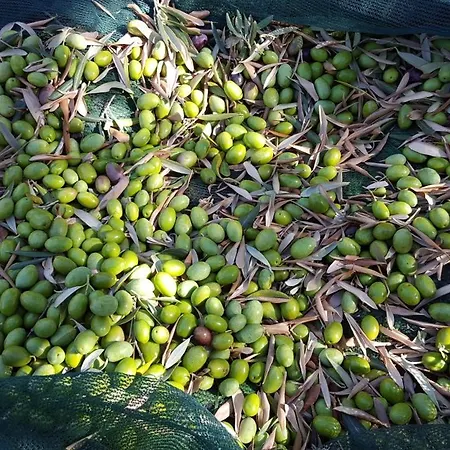 Agriturismo La Conca Fonte S.croce ベッド・アンド・ブレックファスト カラマーニコ・テルメ