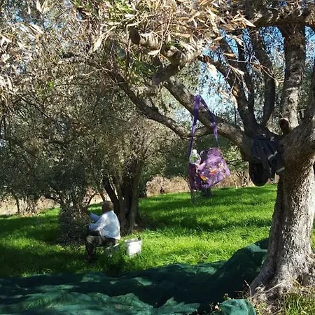 Agriturismo La Conca Fonte S.croce Bed & Breakfast *