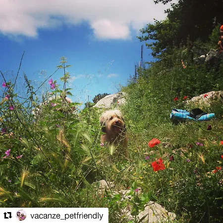 ベッド・アンド・ブレックファスト Agriturismo La Conca Fonte S.croce カラマーニコ・テルメ