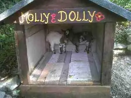 住宿加早餐酒店 Agriturismo La Conca Fonte S.croce *