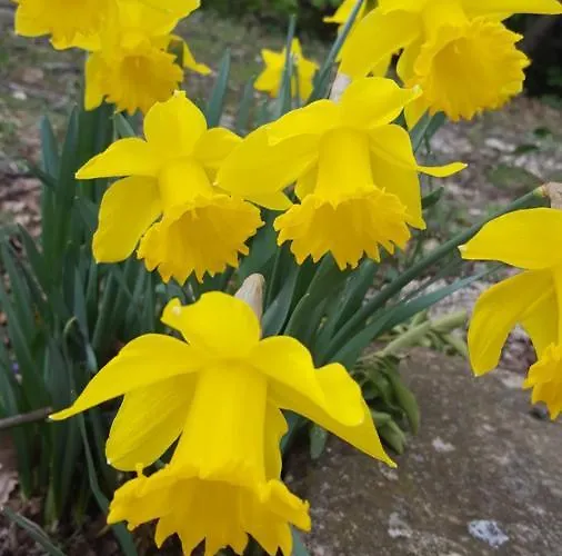 Agriturismo La Conca Fonte S.croce